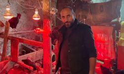 Tavuklara müzikli terapi: 'Yumurta verimi arttı'