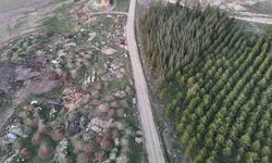 Tezat görüntü: Bir yanda yeşil ağaçlar, bir yanda çöp yığınları