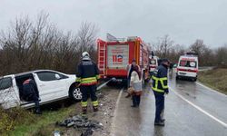 Ticari araç kamyona çarptı: 2 yaralı