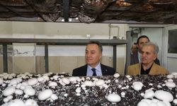 TOGÜ’de üretime dayalı eğitim modelleri güçleniyor