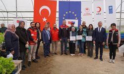 Topraksız marul yetiştiriciliği başladı