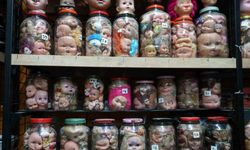 Ürküten sıra dışa koleksiyon