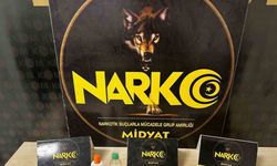 Uyuşturucu operasyonu: 3 şüpheli yakalandı