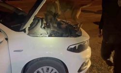 Uyuşturucu operasyonu: 5 tutuklama