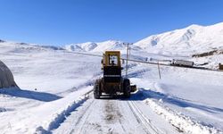 Van'da 35 ulaşım yolu kapalı
