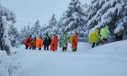 Van'da kar nedeniyle yol kapandı, rota Toprakkale'ye çevrildi