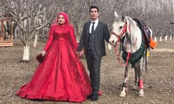 Kıpçak At Çiftliği’ne Ziyaretçi Akını Sürüyor!