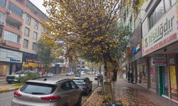 Iğdır’da Hava Ani Soğudu: Şehir Yağmur, Yüksekler Kara Teslim!