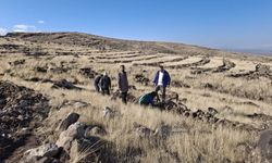 Ormancı Taner Tazegün’den Iğdır Üniversitesi’ne Ağaçlandırma Desteği