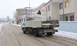 Iğdır Belediyesi Yollarda Tuzlama ve Kar Temizliği Yaptı
