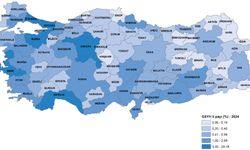 Iğdır’da kişi başına GSYH 264 bin 690 TL olarak gerçekleşti.