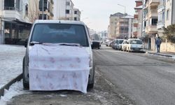 Iğdır’da Sibirya Soğukları: Araçlar Dondu, Hayat Durma Noktasına Geldi!