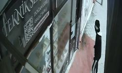 Iğdır’da 100 Bin Liralık Telefon Hırsızlığı: 1 Tutuklama