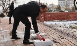 Iğdır’ın Yeni Valisi M. Fırat Taşolar’dan Anlamlı Başlangıç: Mehmet Çavuş Şehitliği’ne Ziyaret