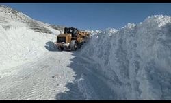 "Kar Kaplanları" Geçit Vermedi: Iğdır'da 74 Köy Yolu Yeniden Ulaşıma Açıldı!