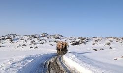 Iğdır İl Özel İdaresi’nden Kış Seferberliği: Köy Yolları Tuzla Güvence Altında
