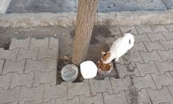 IĞDIR'DA İÇ ISITAN MANZARA: Esnaf Öztürk Alagöz Sokak Hayvanlarının Umudu Oldu