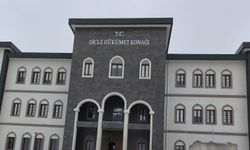 1 Yılda 6 bin 519 adet kök kenevir ele geçirildi