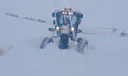 119 köy yolu ulaşıma kapalı