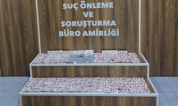 2 bin 226 uyuşturucu hap ele geçirildi