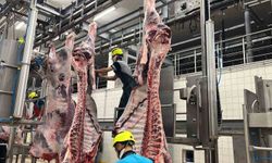 6 bin 29 kesim yapıldı