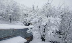 9 ilçede eğitime kar engeli