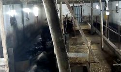 Ahırın çatısı çöktü