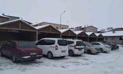 Aşırı soğuklar Tercan'da pazar yerini boş bıraktı