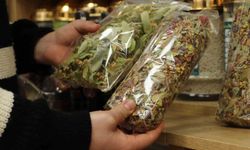 Bağışıklık sistemi için doğal kürlere ilgi çok