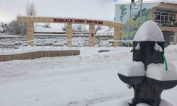 Başkale kara gömüldü, 88 yerleşim yerinin yolu kapandı