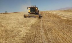 Bayburt'ta besici ve yetiştiricilere yemlik arpa satışı yapılacak