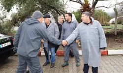 Bayındır Nergis ve Kuru Çiçek Festivali iptal edildi