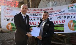 Bilecik'te 'Marul Daha Bi' İyi' Projesi ile üretim tescillendi