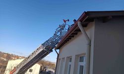 Binanın çatısında mahsur kalan kediyi itfaiye ekibi kurtardı