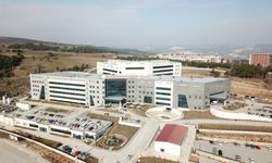 Bir yılda 4 milyona yakın insan muayene oldu