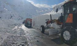 Çığ bölgesinde çalışan greyder şarampole yuvarlandı: Operatör hafif yaralandı