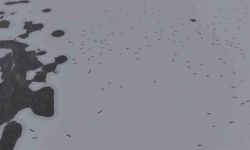 Cip Baraj Gölü buz tuttu