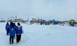 Diyadin'de gençlerden sokak hayvanlarına anlamlı destek