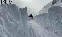 Eleşkirt'te çığ düşen Hayrangöl Köyü yolu ulaşıma açıldı