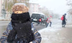 Erzincan güne karla uyandı