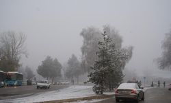 Erzurum'da araç sayısı 152 bin 682 oldu