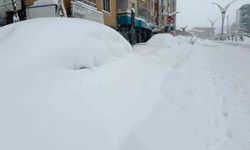 Hakkari'de 357 yerleşim yerinin yolu kapandı