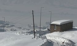 Hakkari'de 68 yerleşim yerinin yolu kapandı