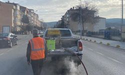 Haşerelere karşı kışlık mücadele