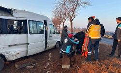 İşçi servisi ağaca çarptı: 7 yaralı