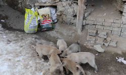 İstanbul'dan Erzurum'a uzanan yardım eli