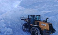 Kapalı 115 köy yolunda çalışmalar sürüyor
