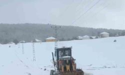 Kar yağışı nedeniyle 109 köy yolu ulaşıma kapandı