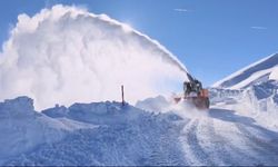 Karla mücadele: 294 yerleşim yerinin yolu ulaşıma açıldı