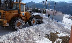 Karla mücadele çalışmaları başladı